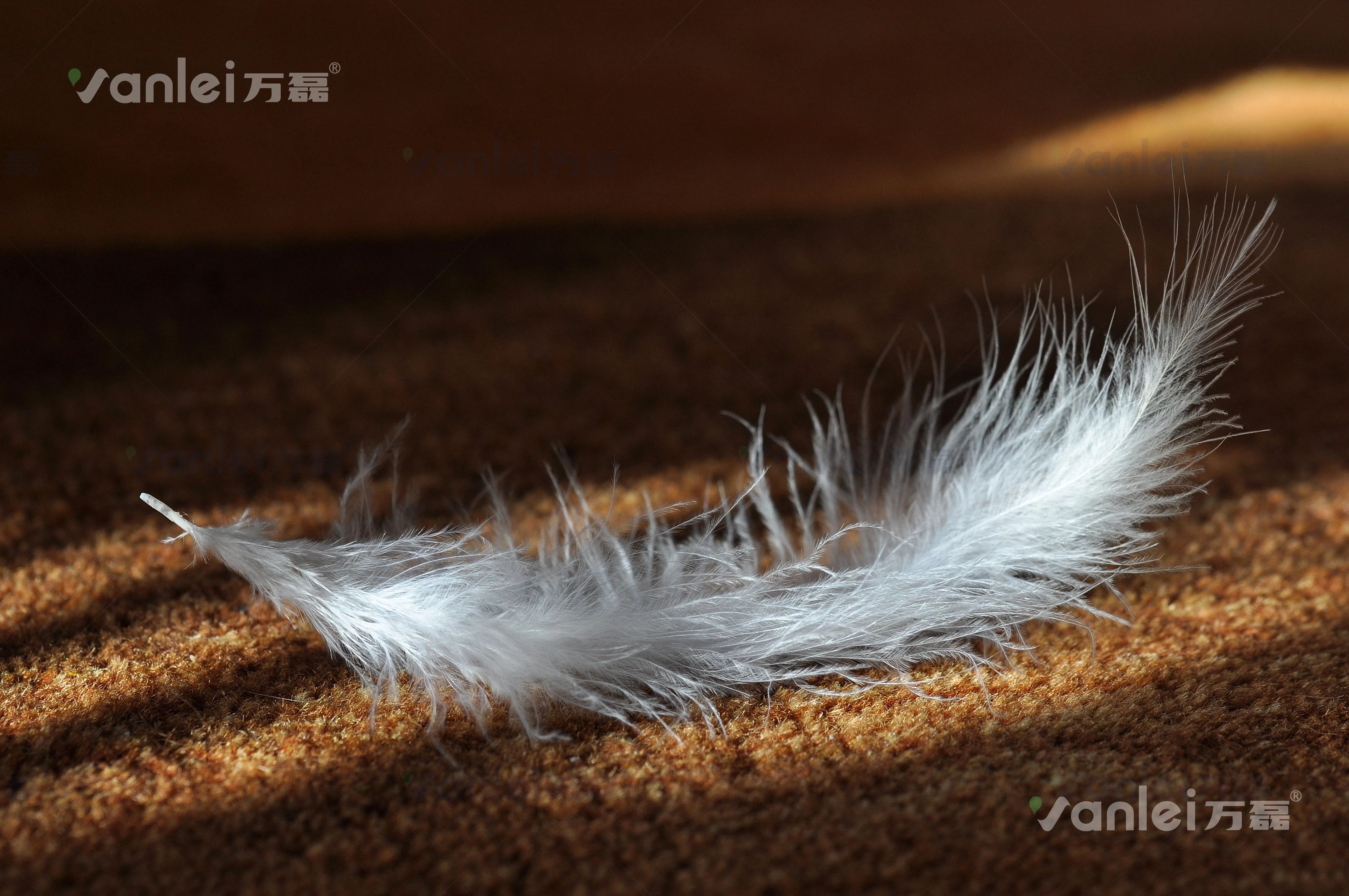 萬(wàn)磊案例賞析 | 金屬遇上絲絨，尋覓絲質(zhì)般舒適生活