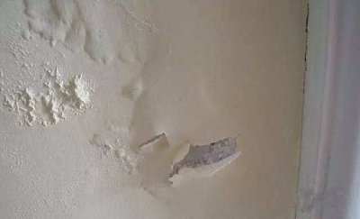 硅藻泥和乳膠漆哪個(gè)好？看一下便知道